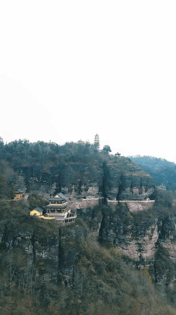 功夫萌宝神算爹